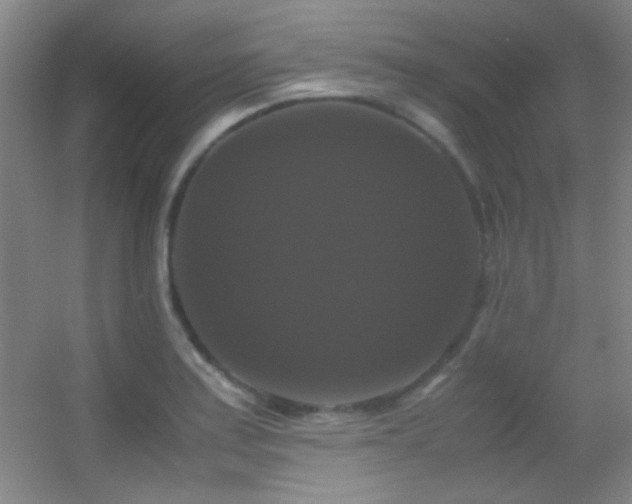 X0000055511179200508121009