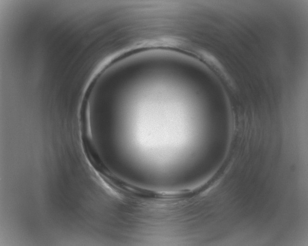 X0000055511184200508121009
