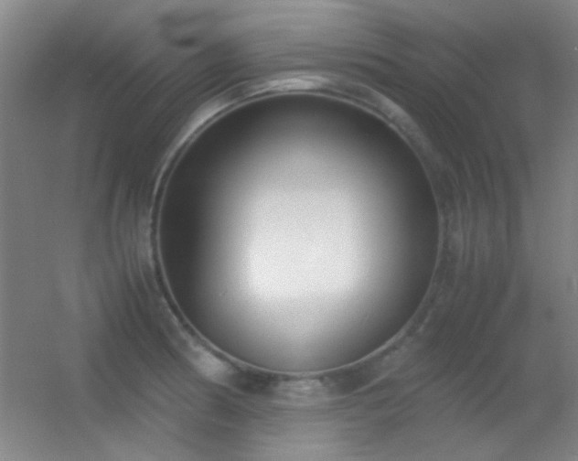 X0000055511186200508121009