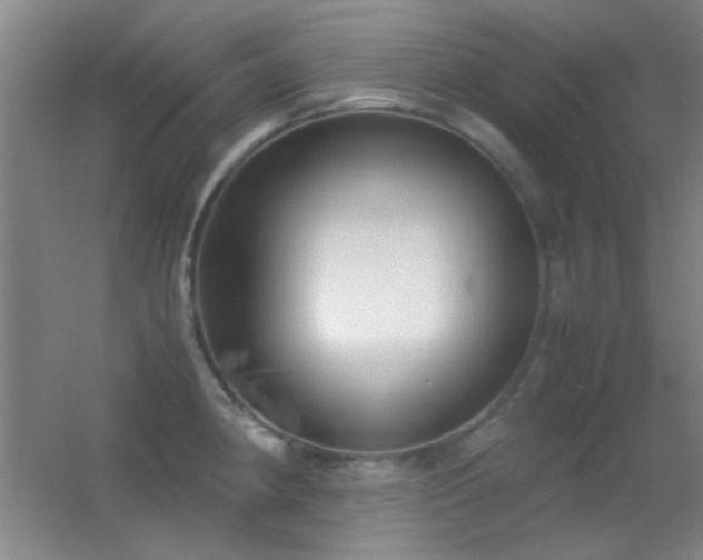 X0000055511190200508121009