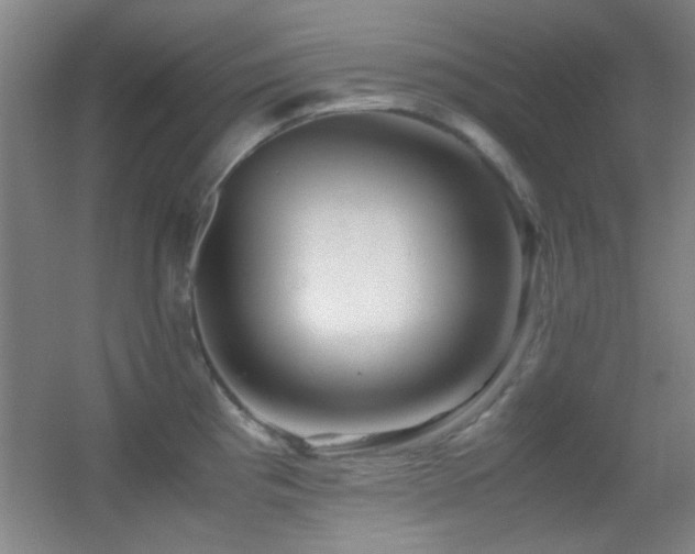 X0000055511193200508121009