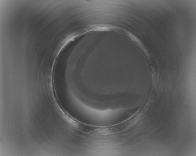 X0000055511194200508121009