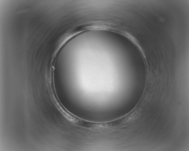 X0000055511195200508121009