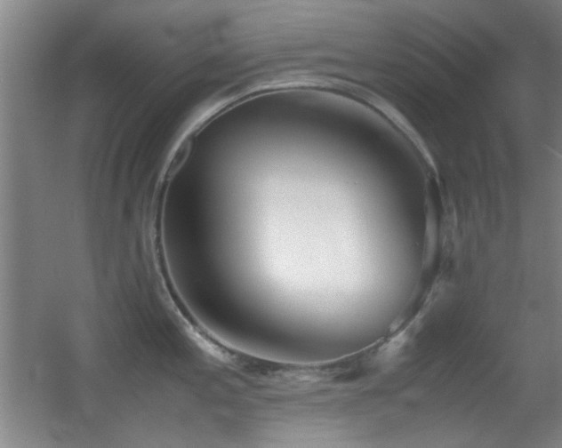 X0000055511197200508121009