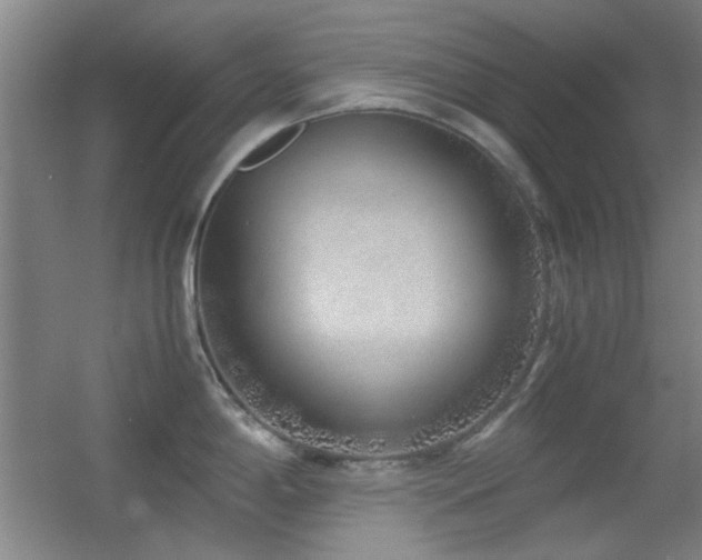 X0000055511198200508121009