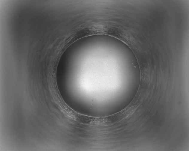 X0000055511201200508121008