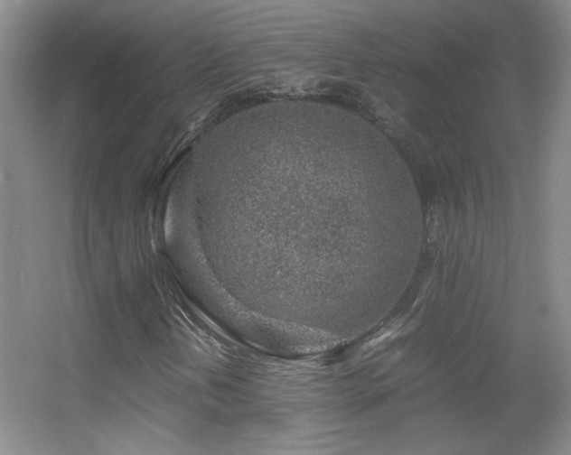 X0000055511202200508121008