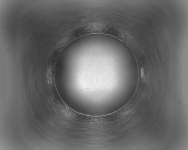 X0000055511203200508121008