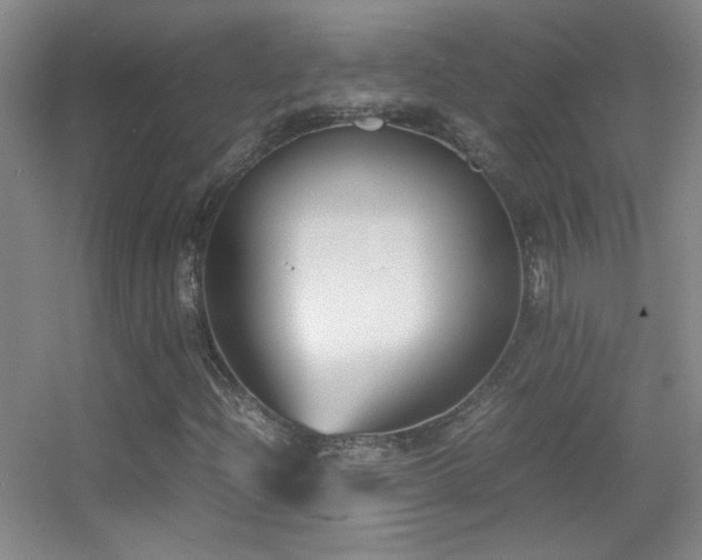 X0000055511204200508121008