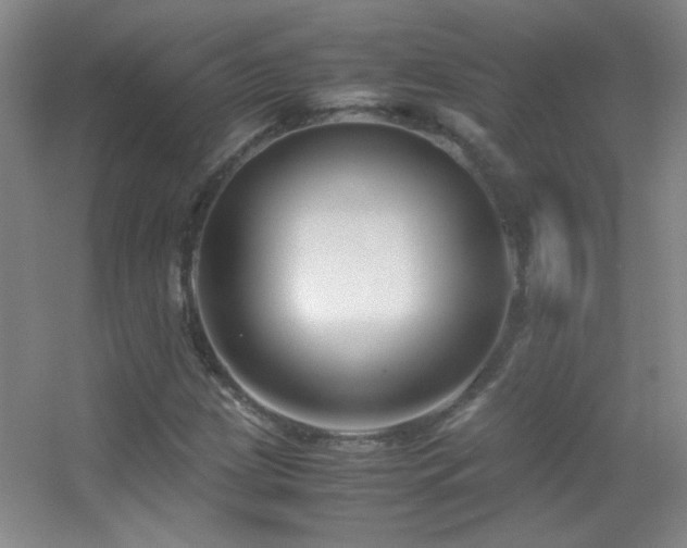 X0000055511209200508121008