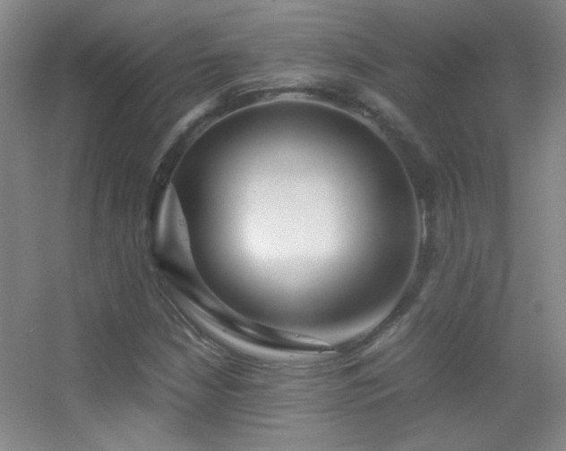 X0000055511210200508121008