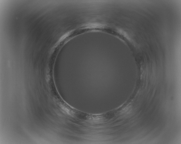 X0000055511213200508121008