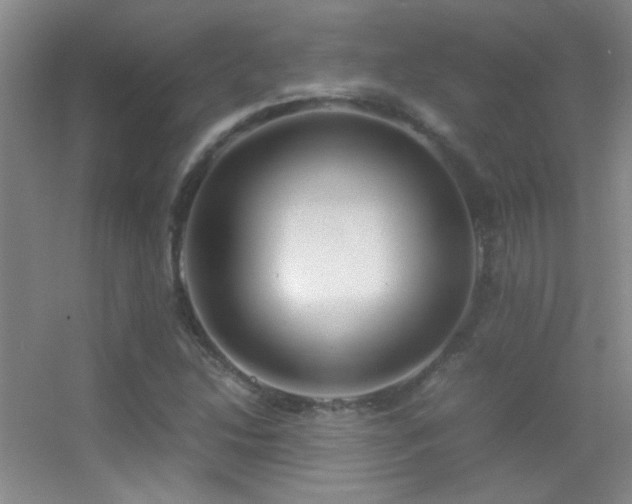 X0000055511214200508121008