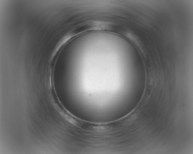 X0000055511227200508121008
