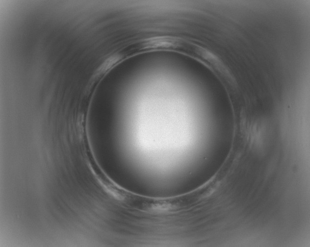 X0000055511233200508121008