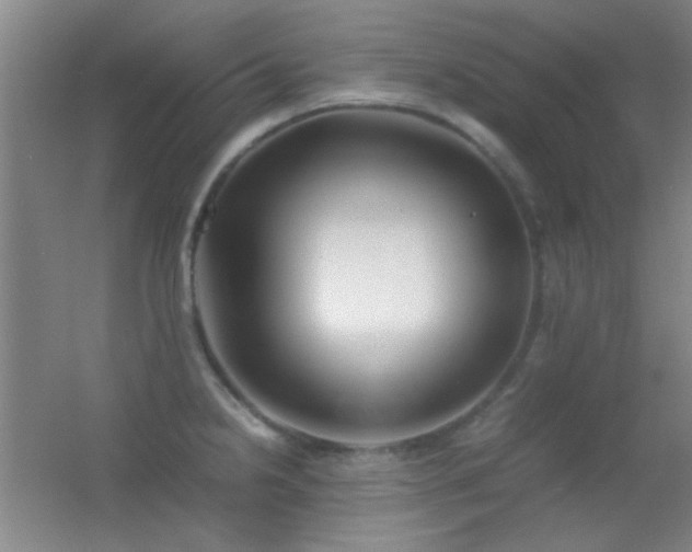 X0000055511238200508121008