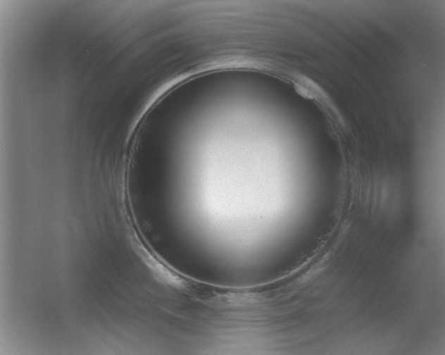 X0000055511244200508121009