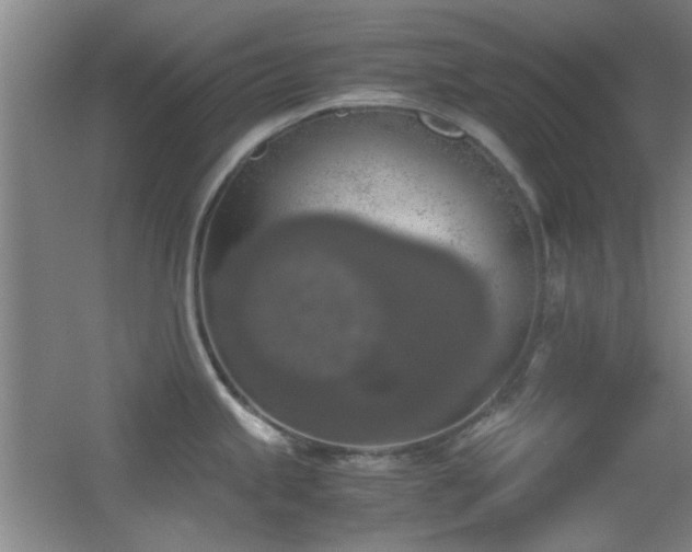 X0000055511245200508121009