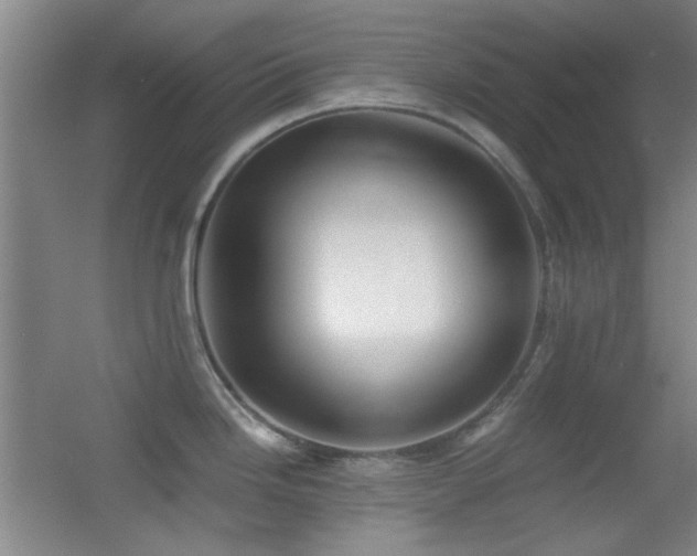 X0000055511246200508121009