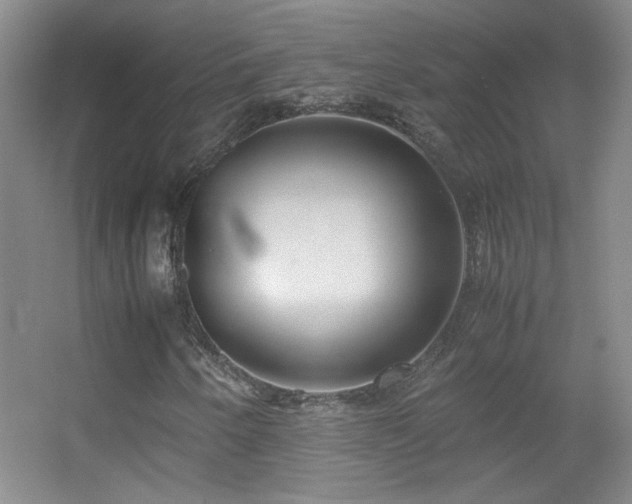 X0000055511250200508121008