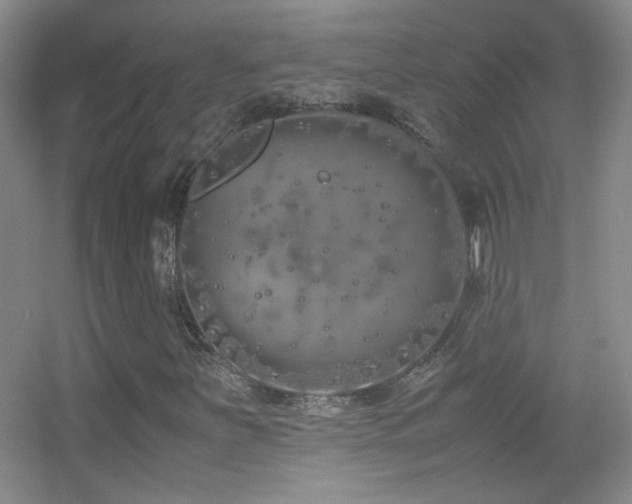 X0000055511251200508121008