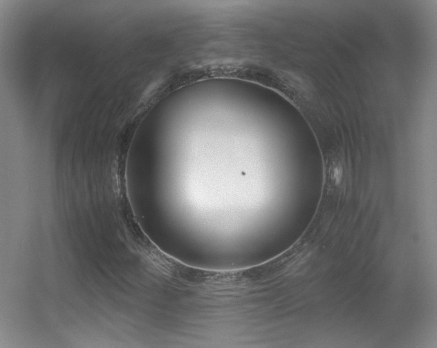 X0000055511252200508121008