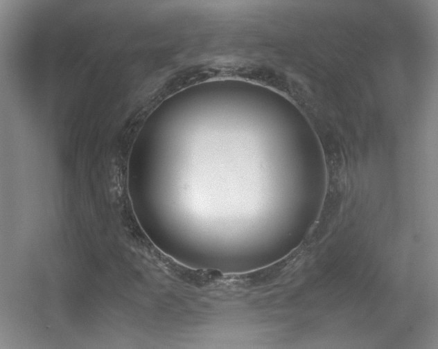 X0000055511253200508121008