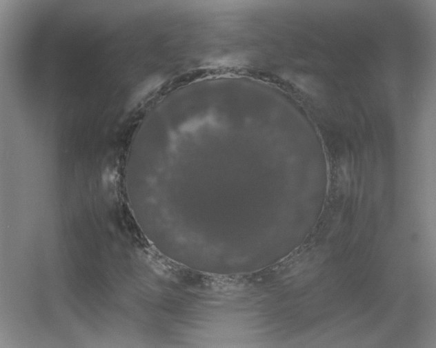 X0000055511254200508121008