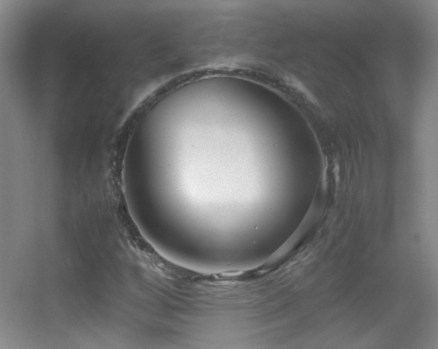 X0000055511256200508121008