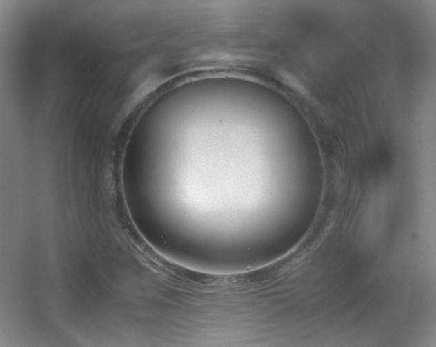 X0000055511259200508121008