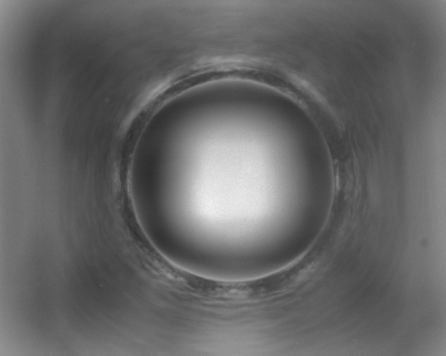 X0000055511261200508121008
