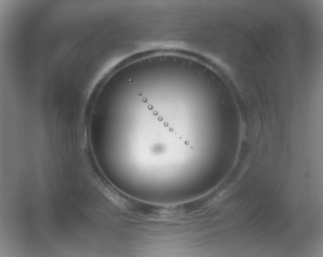 X0000055511271200508121007