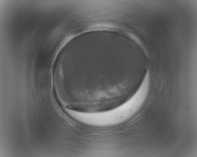 X0000055511275200508121007