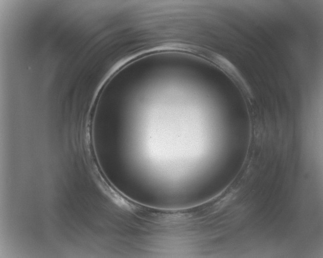 X0000055511292200508121007