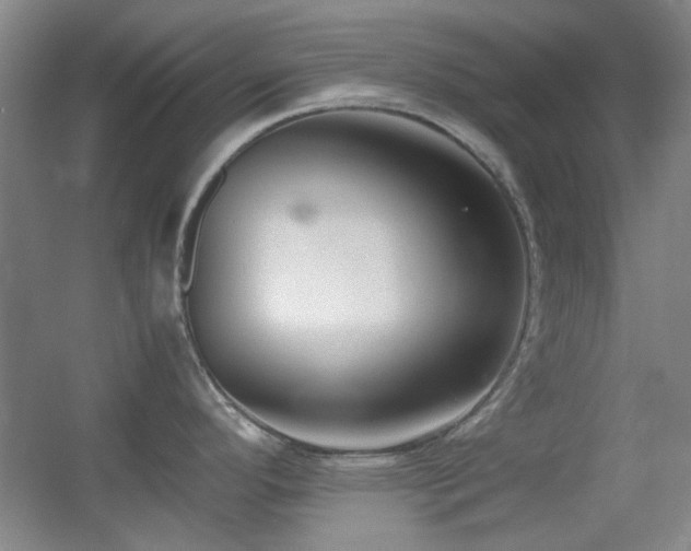 X0000055511296200508121007