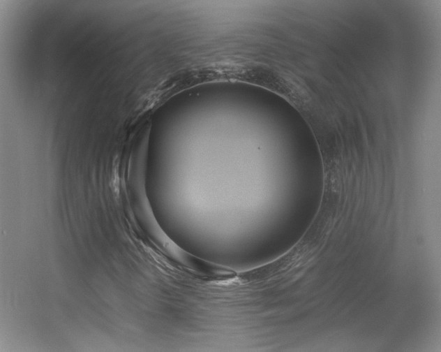 X0000055511298200508121006