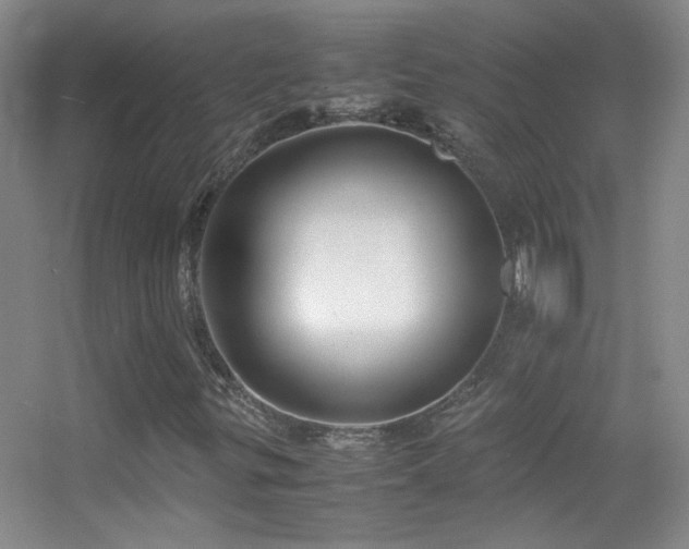X0000055511299200508121006