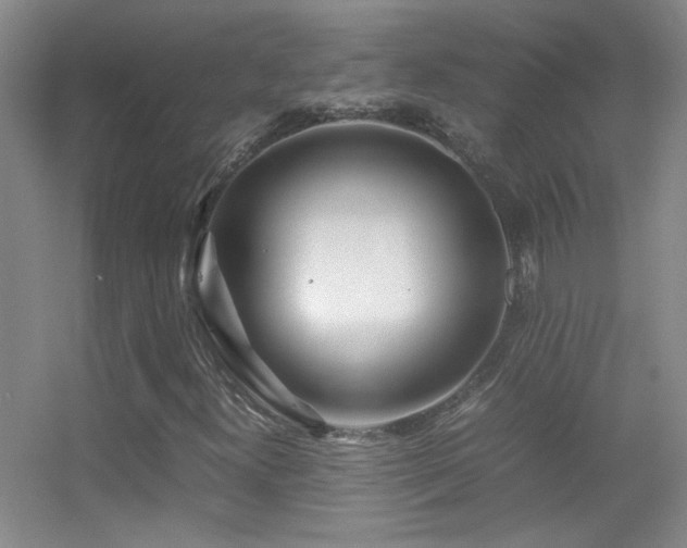 X0000055511300200508121006