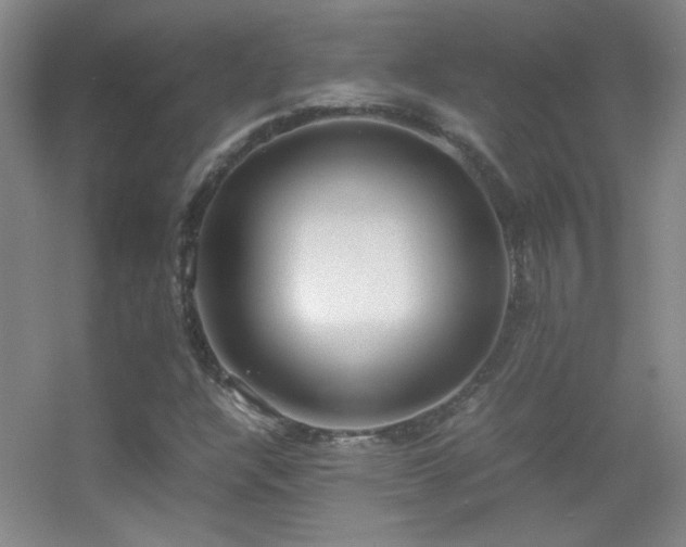 X0000055511304200508121006