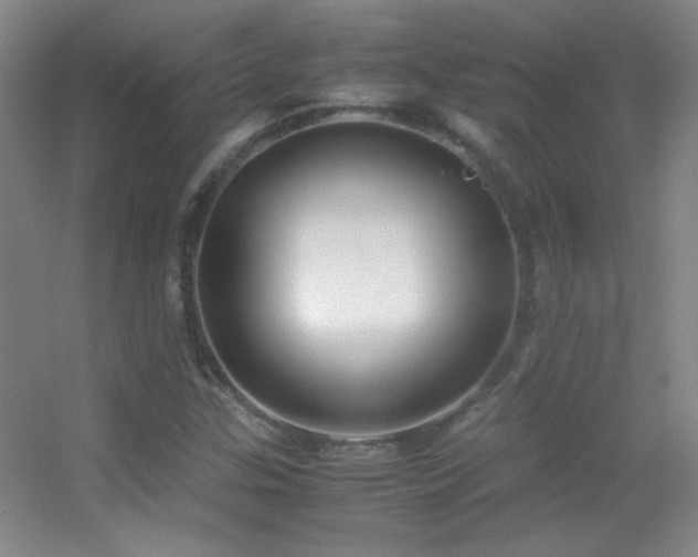 X0000055511307200508121006