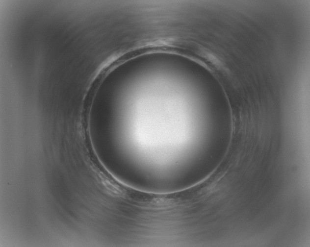 X0000055511308200508121006