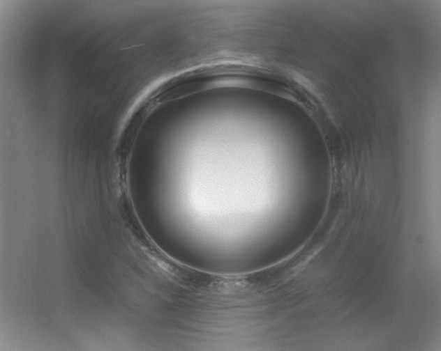 X0000055511310200508121006