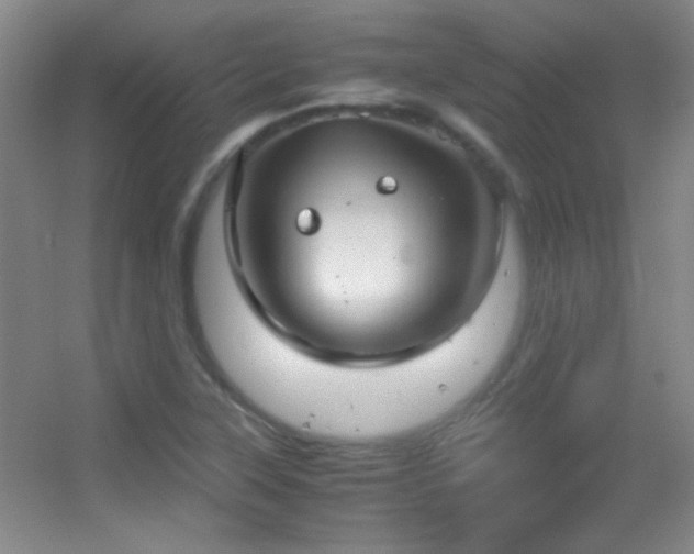 X0000055511315200508121007
