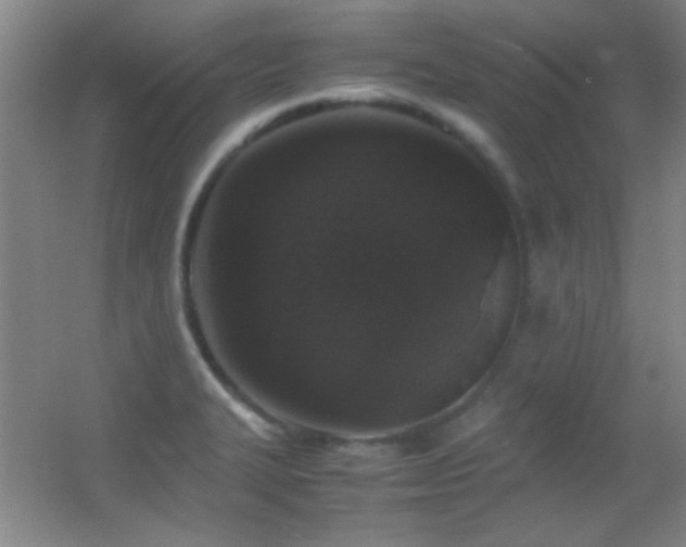 X0000055511327200508121007