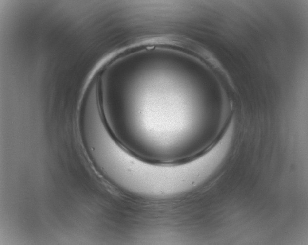X0000055511328200508121007