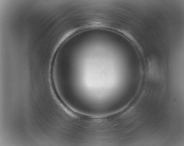 X0000055511333200508121007