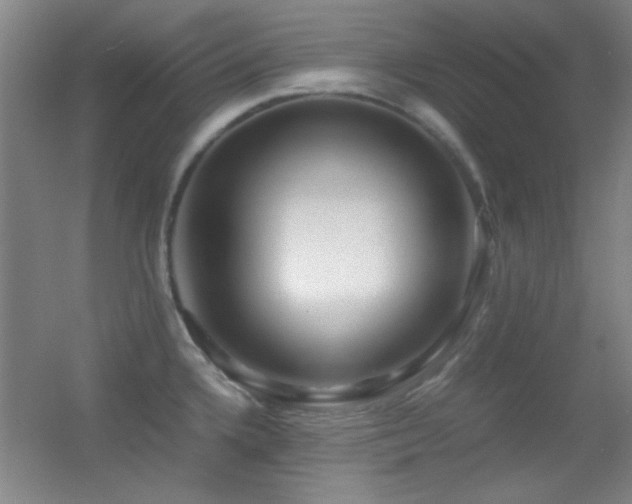 X0000055511336200508121007