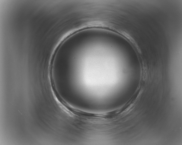 X0000055511342200508121007