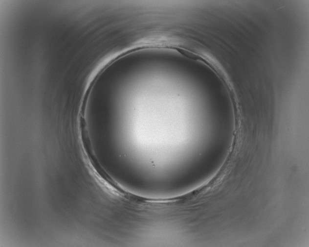 X0000055511344200508121007