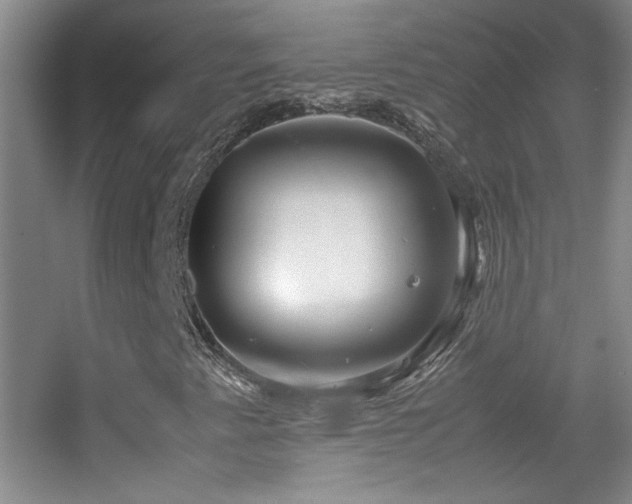 X0000055511345200508121006